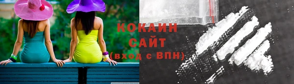 МДПВ Козельск