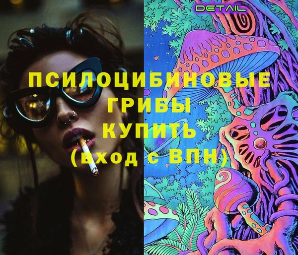 соль ск Кинешма