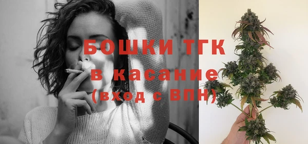амф Козловка